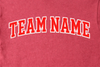 Custom Team Name Shirt, Comfort Colors Sports Tee, Game Day Apparel, College Spirit Top, Varsity Style