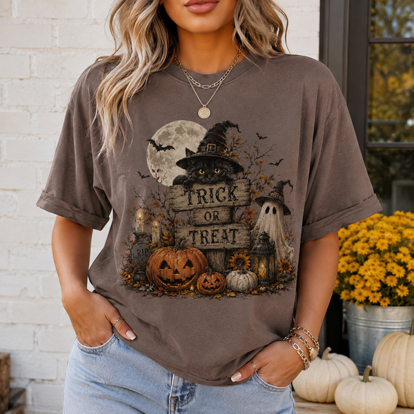 Vintage Halloween Cat Shirt, Black Cat Witch & Pumpkin Trick or Treat Tee