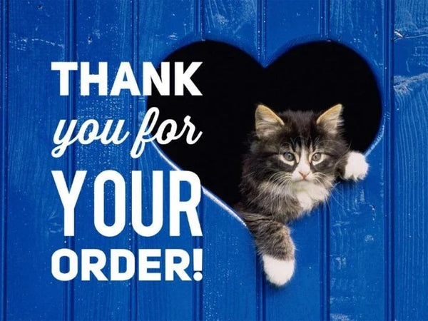 11oz Recyclable Ceramic Black Cat Coffee Mug Let God Fix It Funny Quote